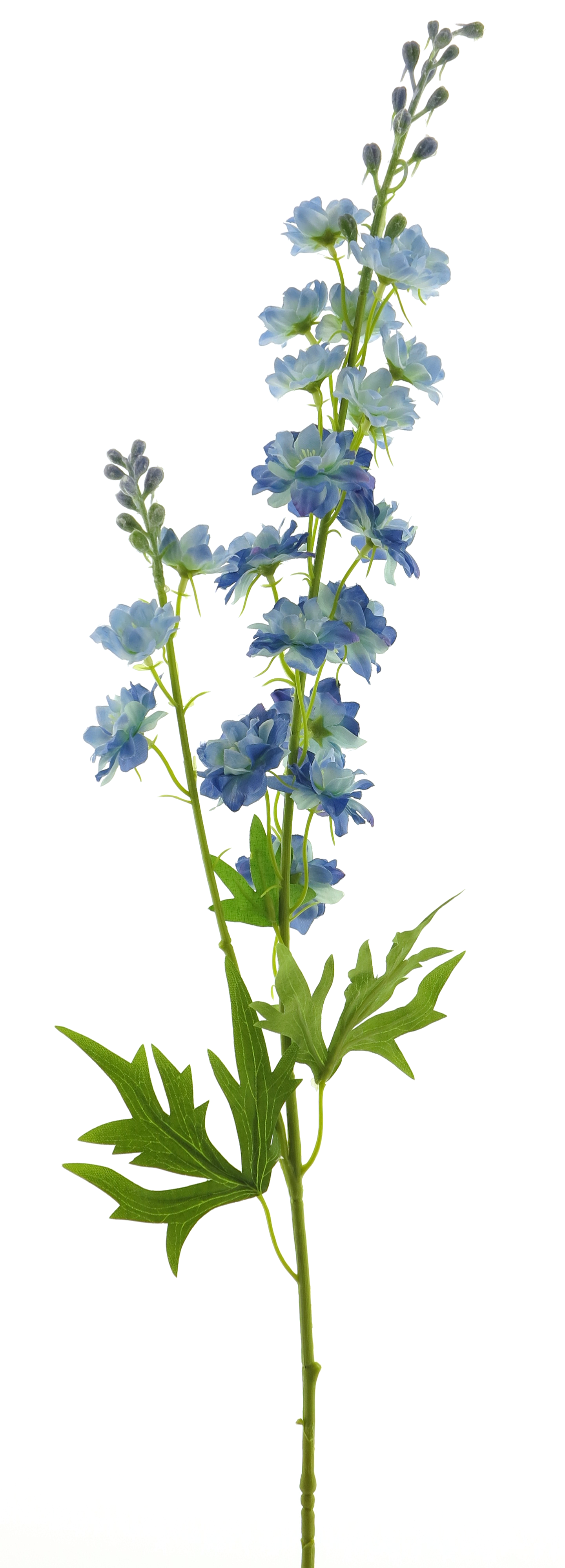Delphinium Finn spray blue 85cm 12908