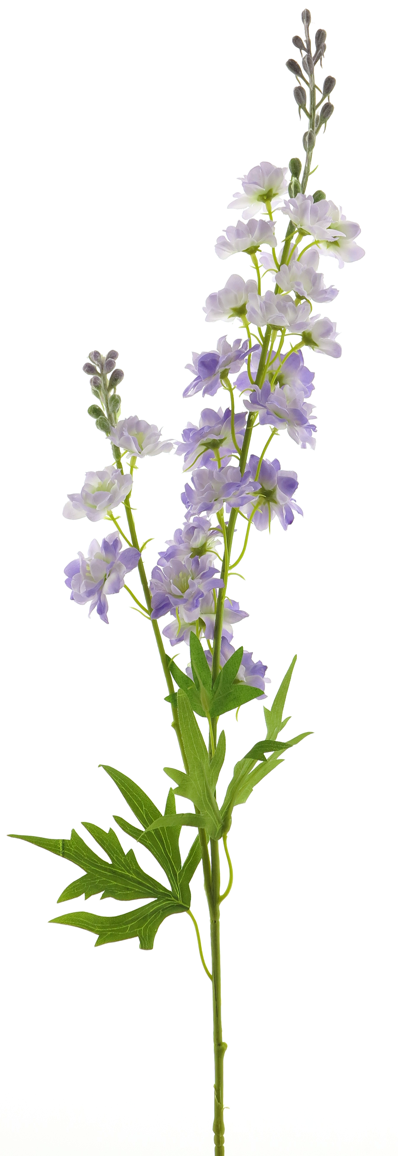 Delphinium Finn spray purple 85cm 12908