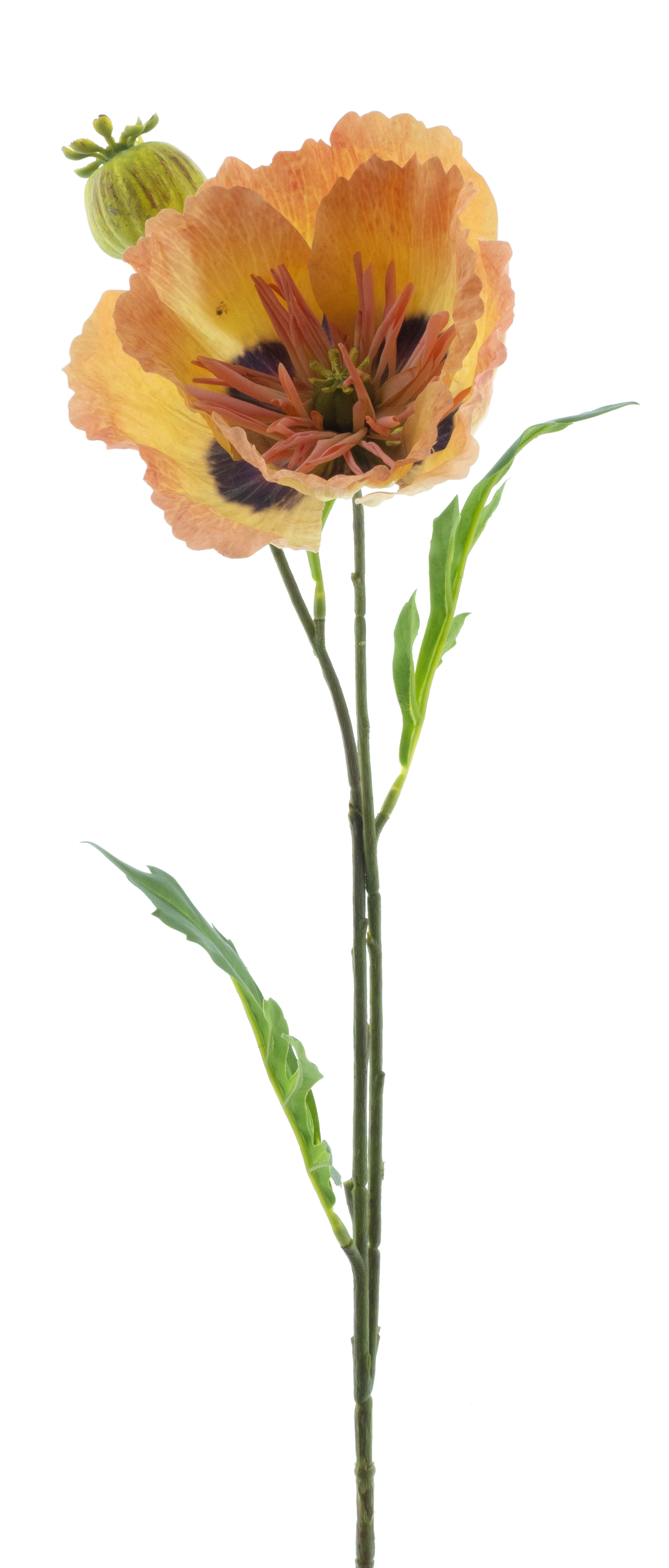 Poppy spray newwave peach 82cm
