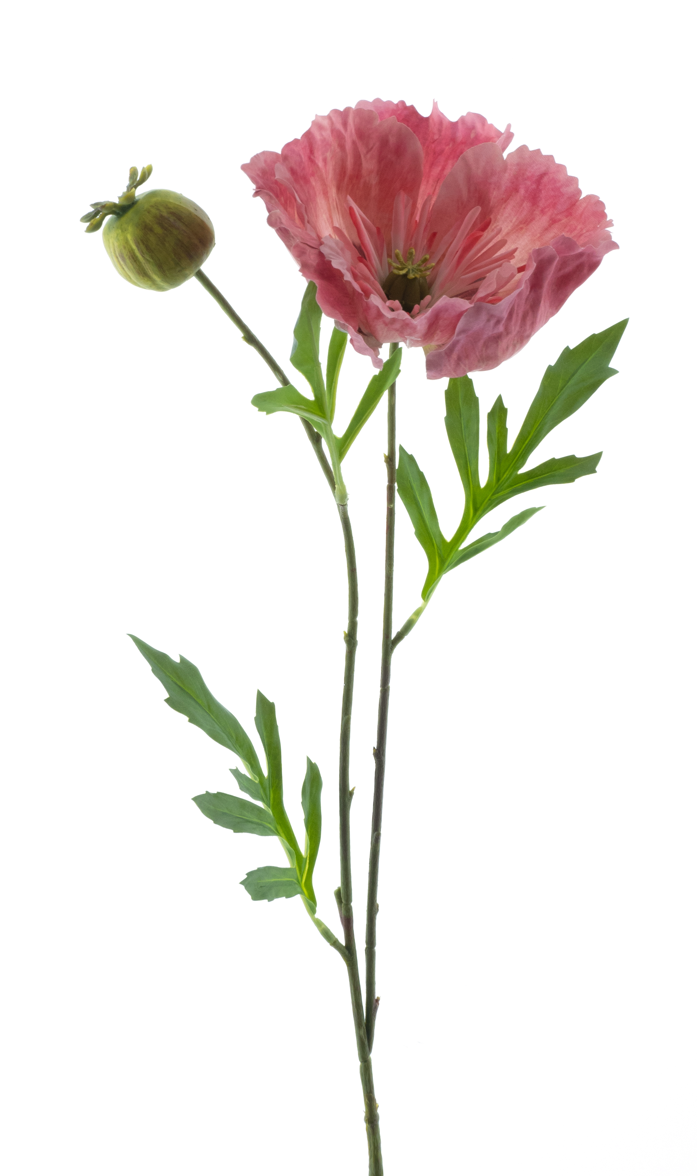 Poppy spray new wave pink 82cm