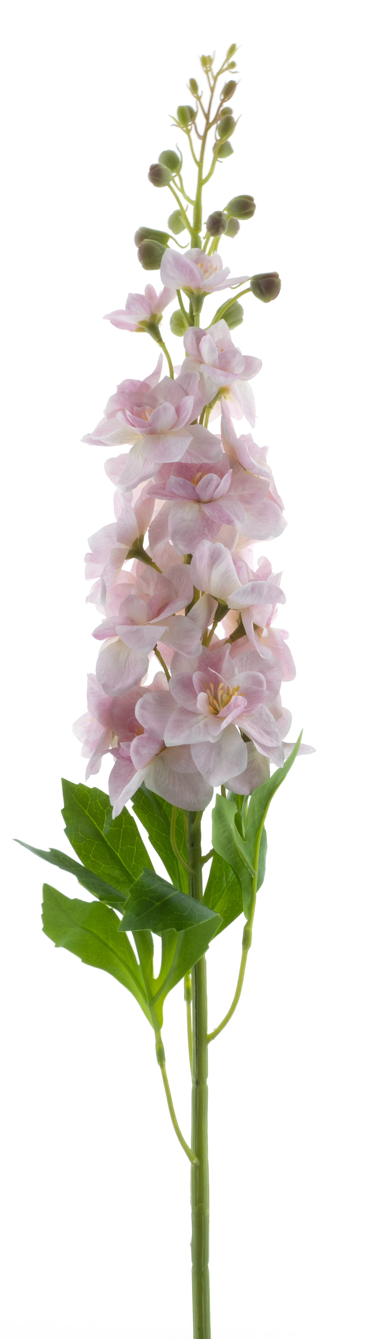 Delphinium spray Roland lt pink 87cm
