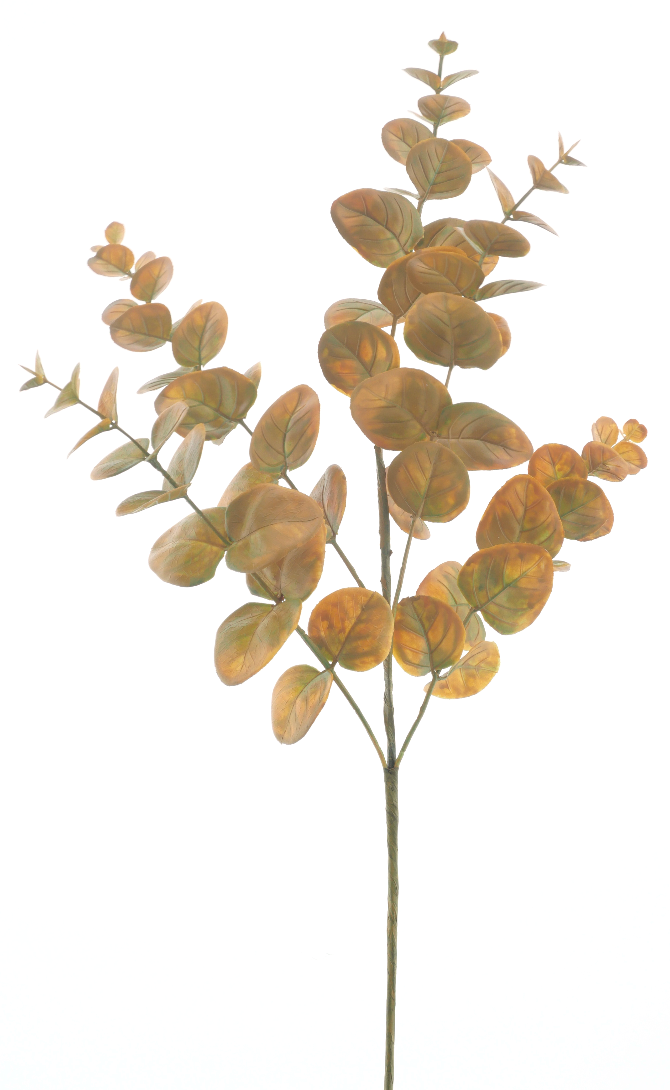 Eucalyptus spray Monica yellow 63cm