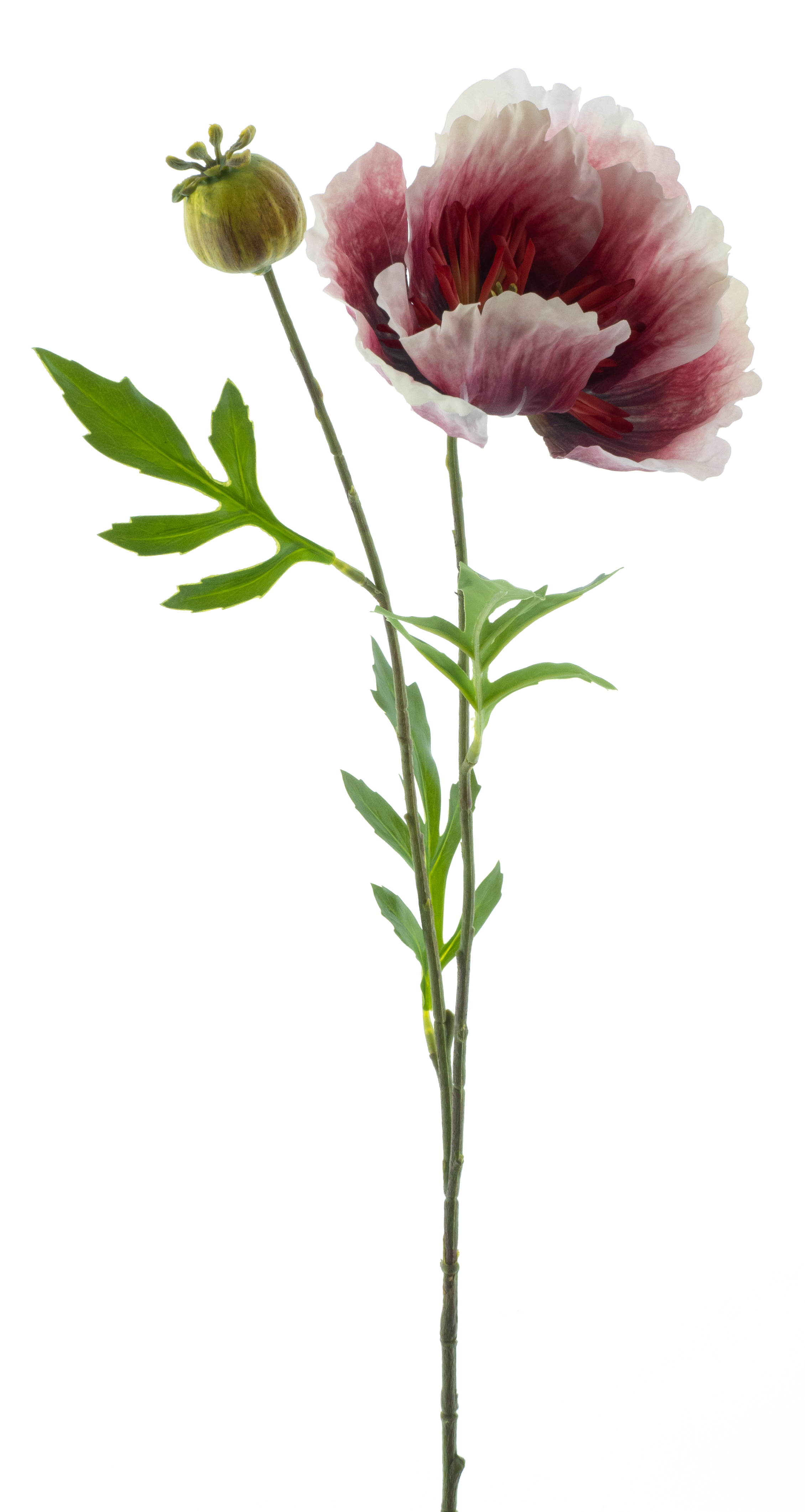 Poppy spray newwave beauty 82cm