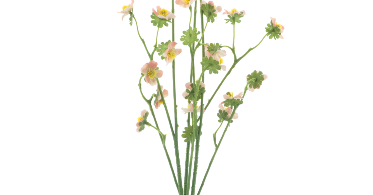 Mini daisy bundle orange 55cm | Coppens Warenhuis