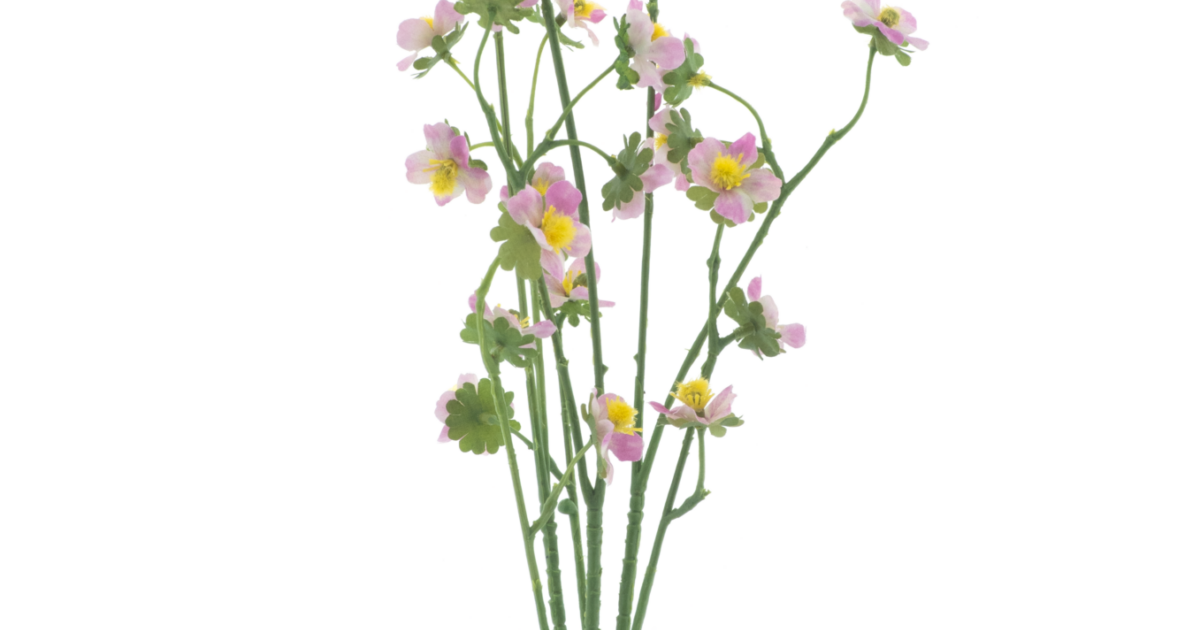 Mini daisy bundle pink 55cm | Coppens Warenhuis