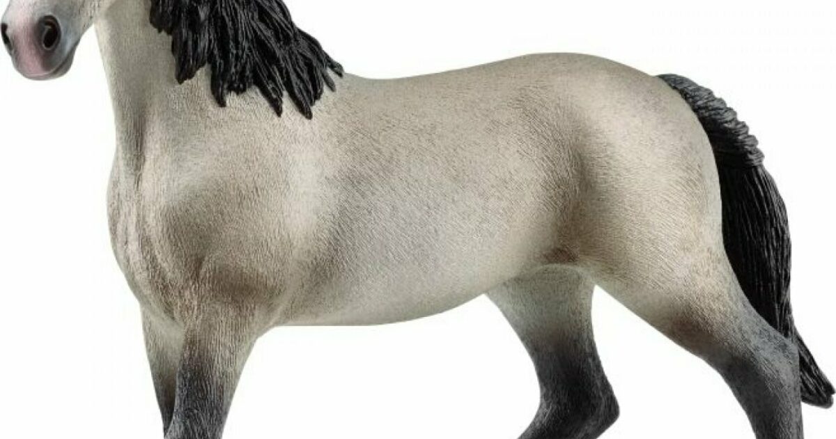 Schleich 13955 Giumenta Cheval De Selle Francais - Cavallo Da Collezione HORSE CLUB - Figurina Realistica Per Bambine Da 5 Anni, 14x4x12 Cm
