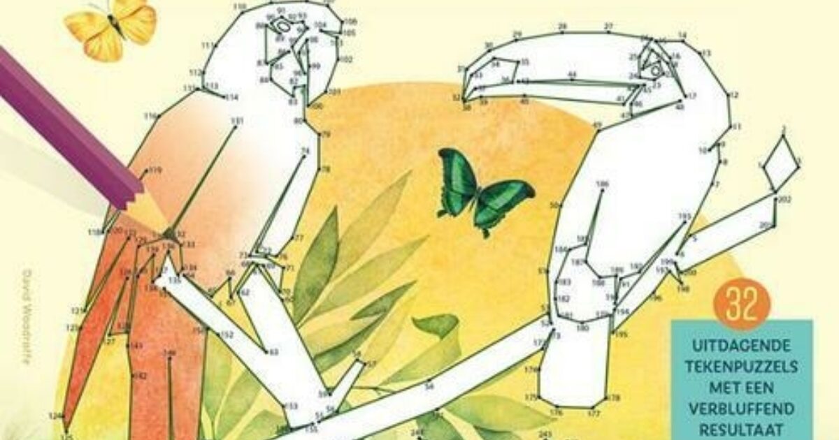 Tekenen van punt tot punt voor volwassenen | Coppens Warenhuis